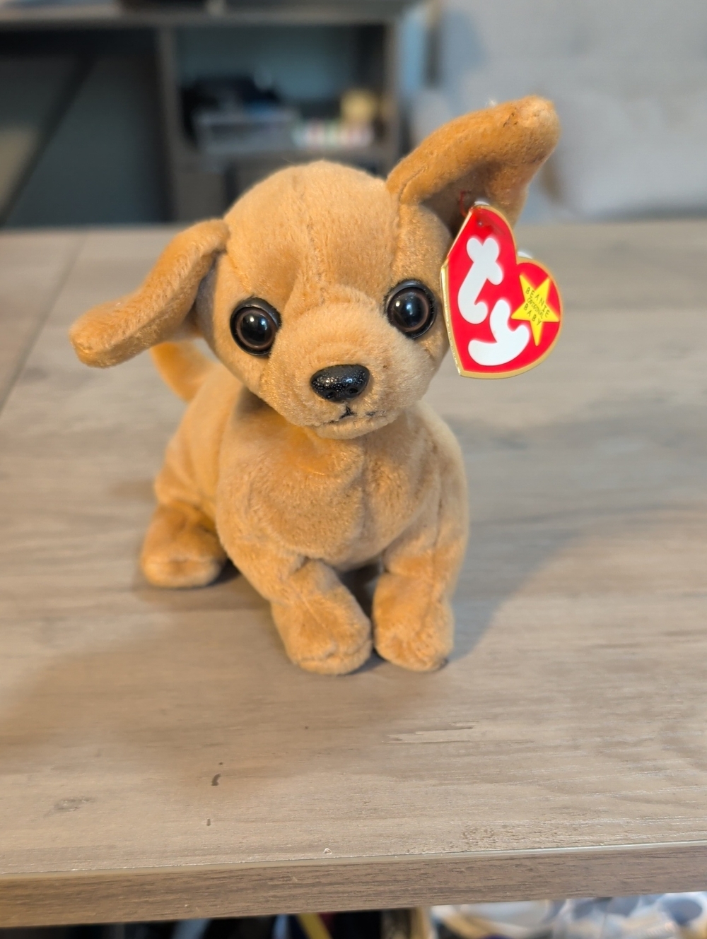 Vintage Original Beanie Baby 'Tiny The Chihuahua'